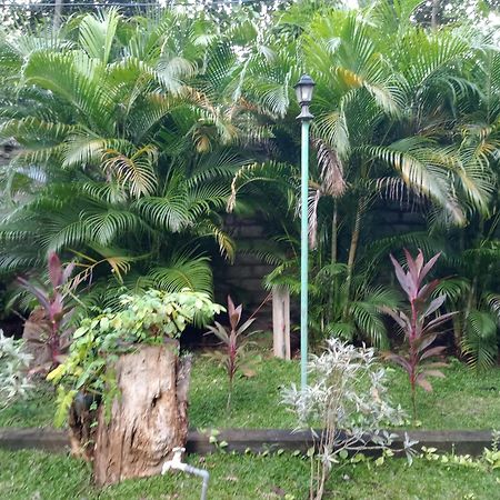 Kithmi Resort Polonnaruwa Ngoại thất bức ảnh