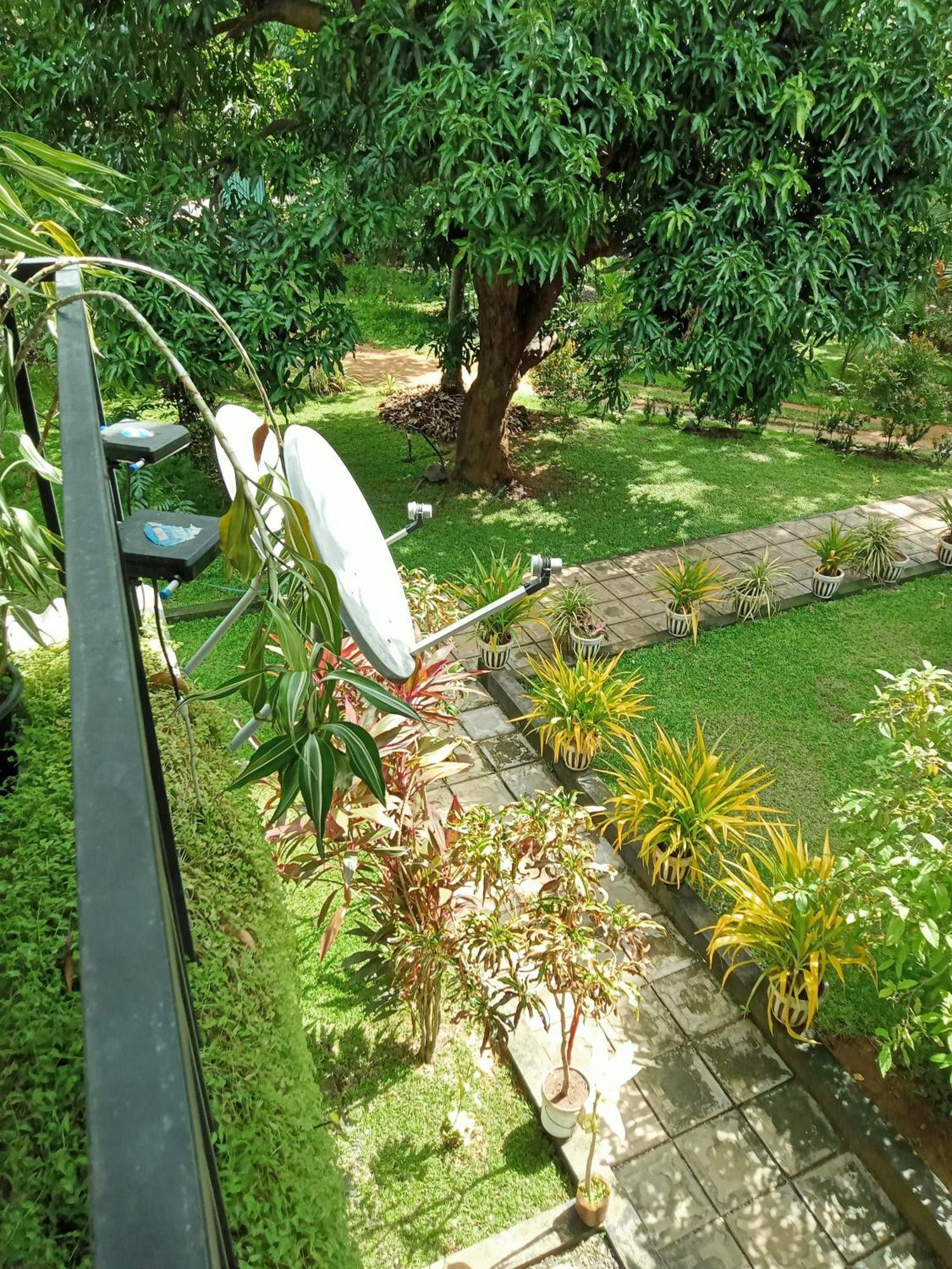 Kithmi Resort Polonnaruwa Ngoại thất bức ảnh