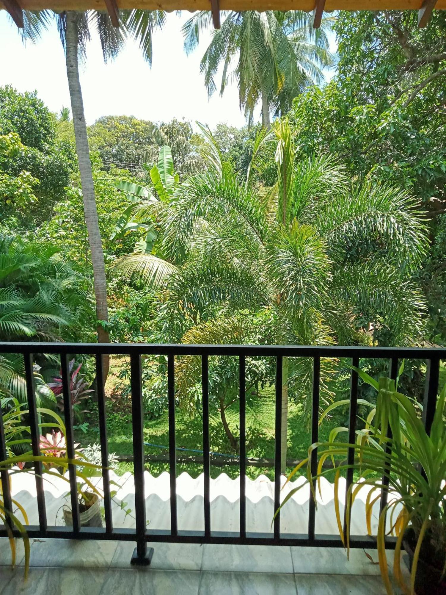 Kithmi Resort Polonnaruwa Ngoại thất bức ảnh